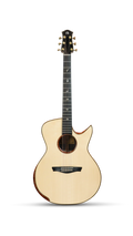 Natasha Swift Acoustic Guitar